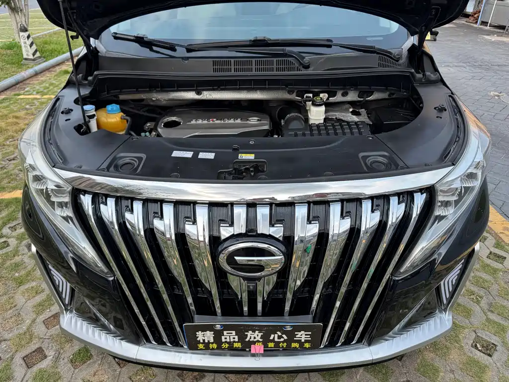 GAC Motor Trumpchi M8 2019 — фото 22