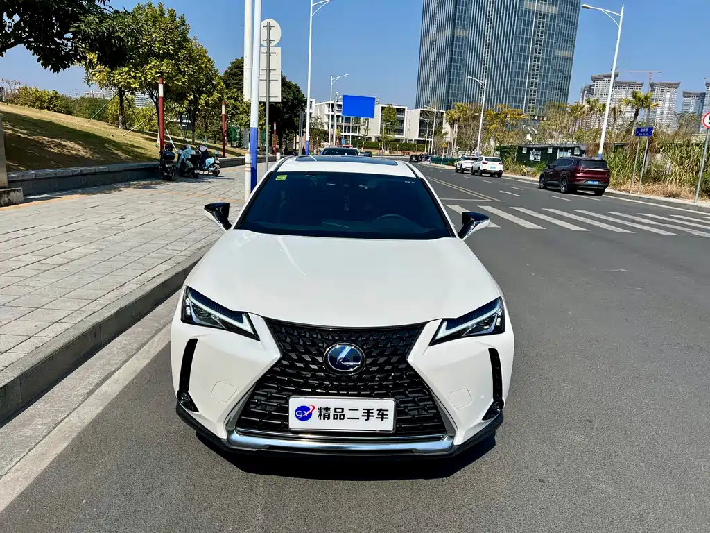 Lexus UX 2021 — фото 2
