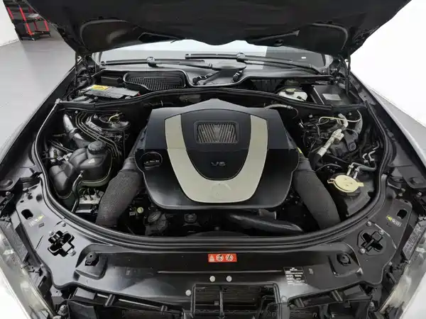 Mercedes-Benz S-Class 2009