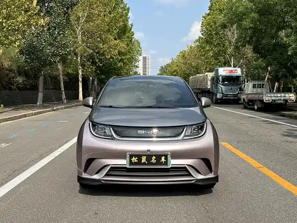BYD Dolphin 2023