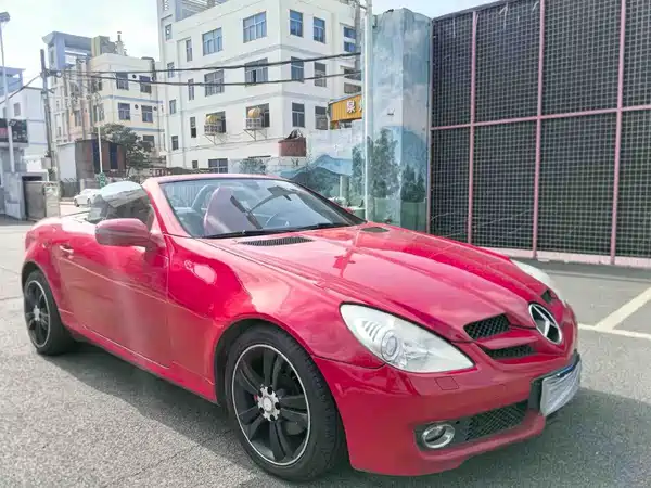 Mercedes-Benz SLK-Class 2010