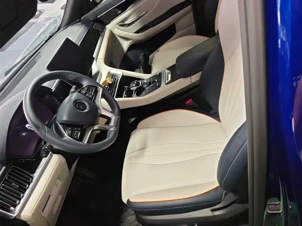 BYD PLUS New Energy 2022 — фото 15