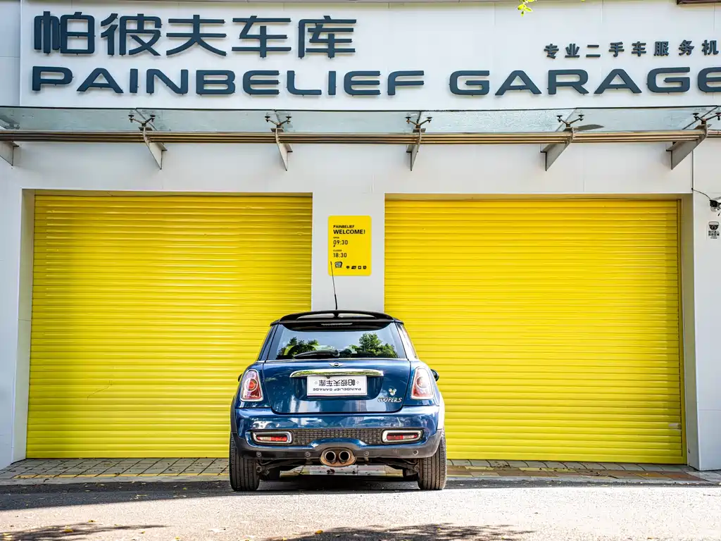 MINI MINI 2012