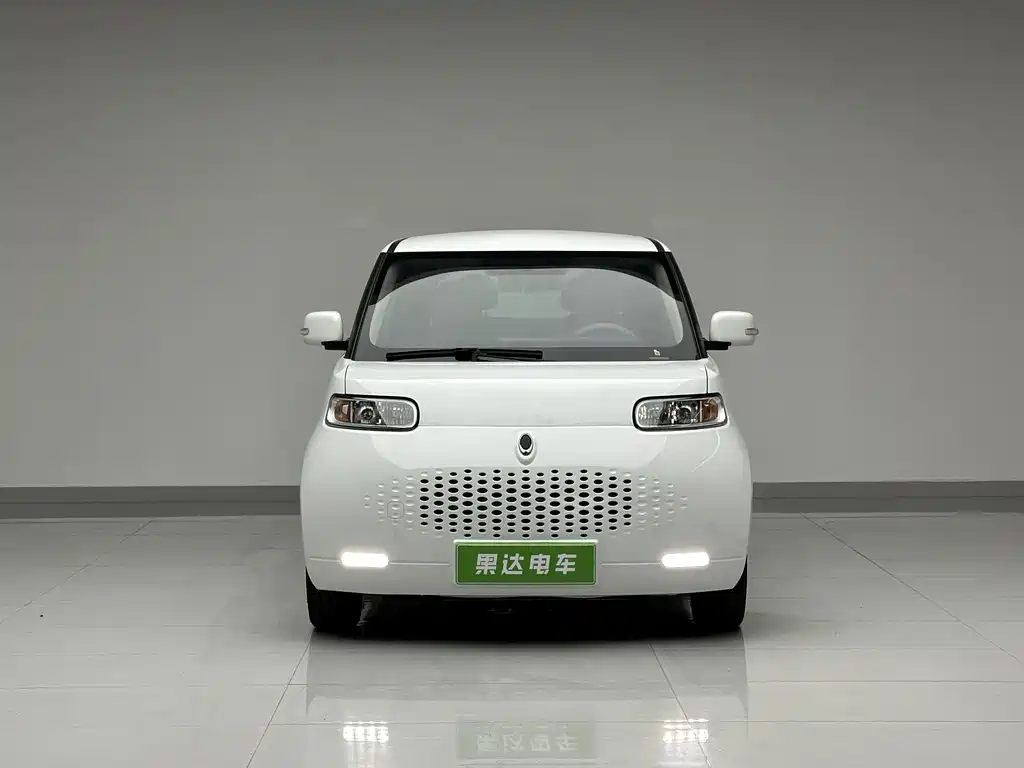 Ora White Cat 2021