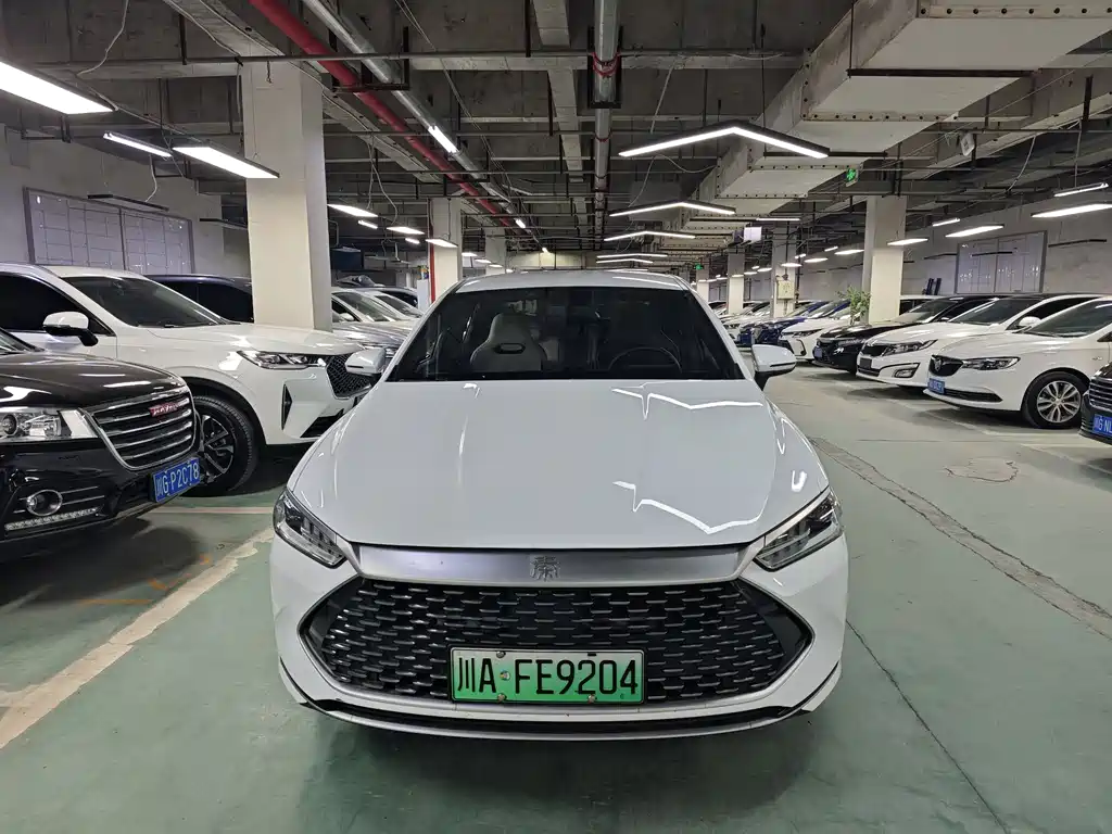 BYD Qin PLUS 2023 — фото 2