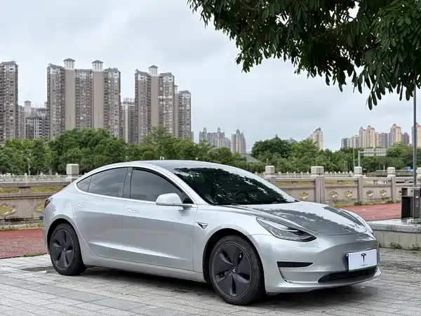 Tesla Model 3 2020