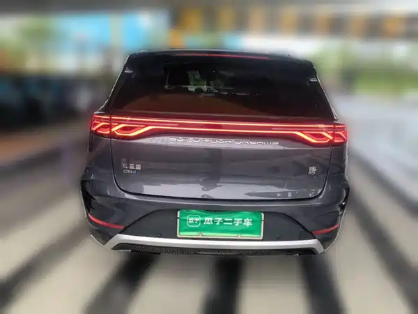 BYD Tang New Energy 2024