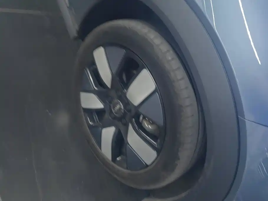 BYD Dolphin 2024
