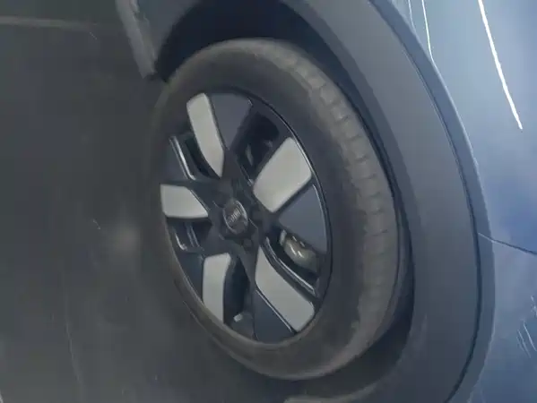 BYD Dolphin 2024