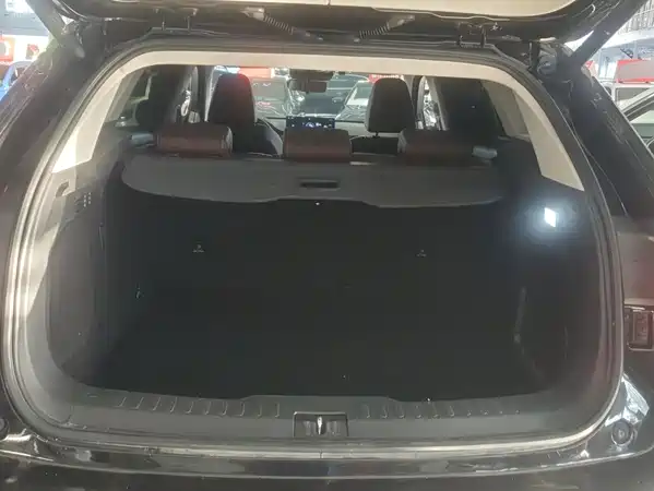 Wey VV6 2020