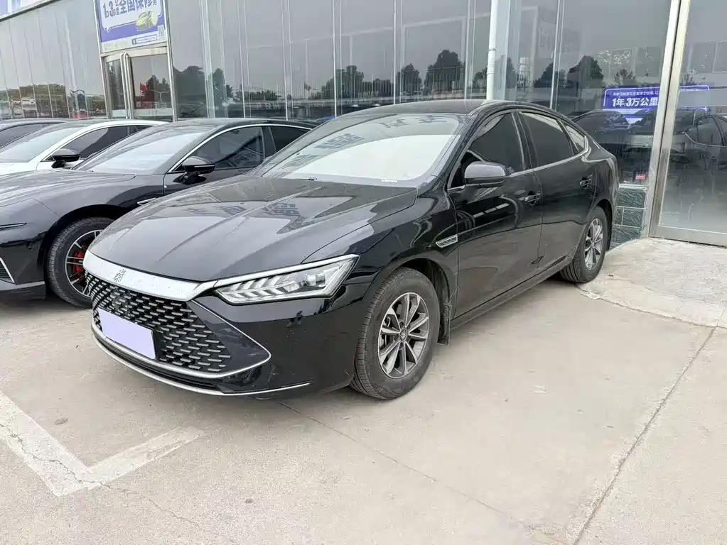 BYD Qin PLUS 2024 — фото 1