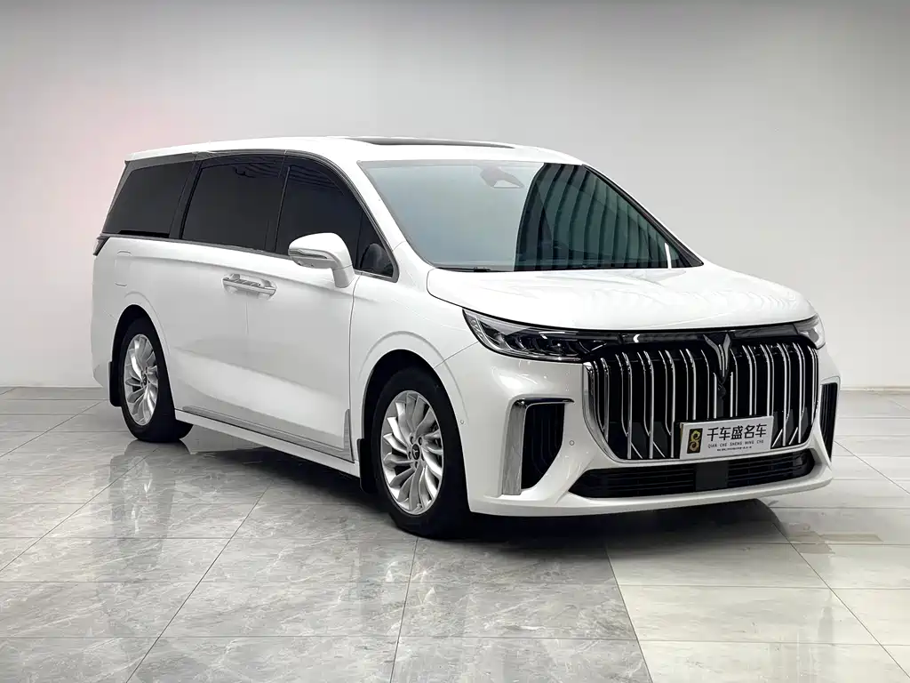 VOYAH Dreamer 2024 — фото 3