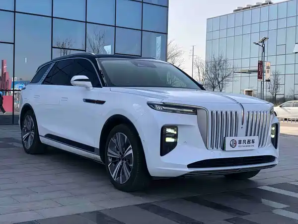 Hongqi E-HS9 2021