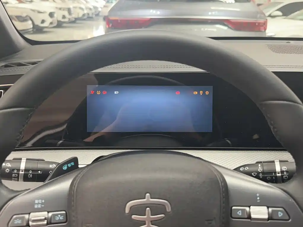 BYD Pro New Energy 2025 — фото 4