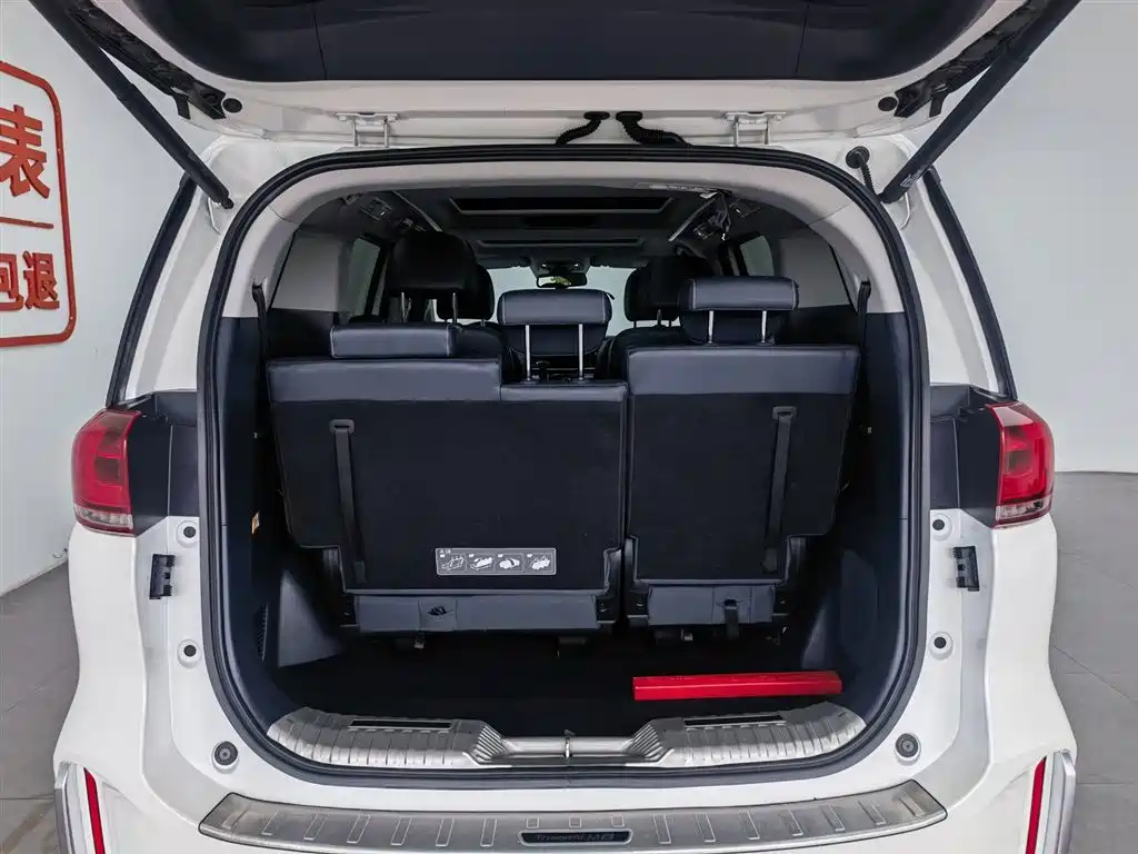 GAC Motor Trumpchi M8 2020 — фото 16