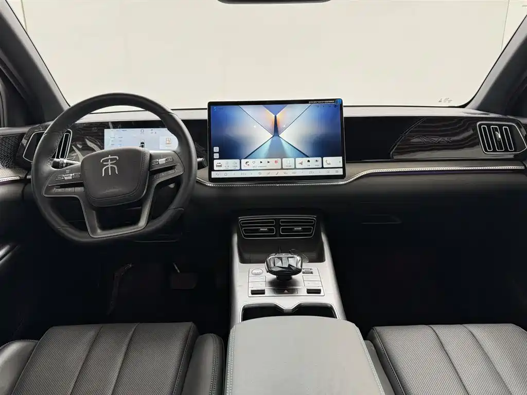 BYD Pro New Energy 2025 — фото 9