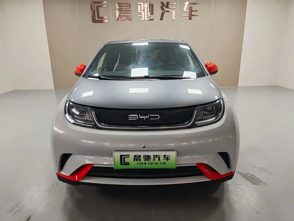 BYD Dolphin 2021