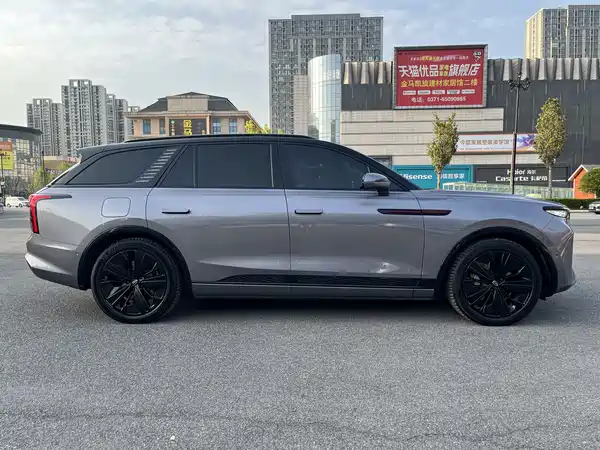 Hongqi E-HS9 2021
