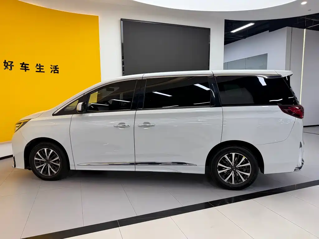 GAC Motor Trumpchi M8 2023 — фото 11