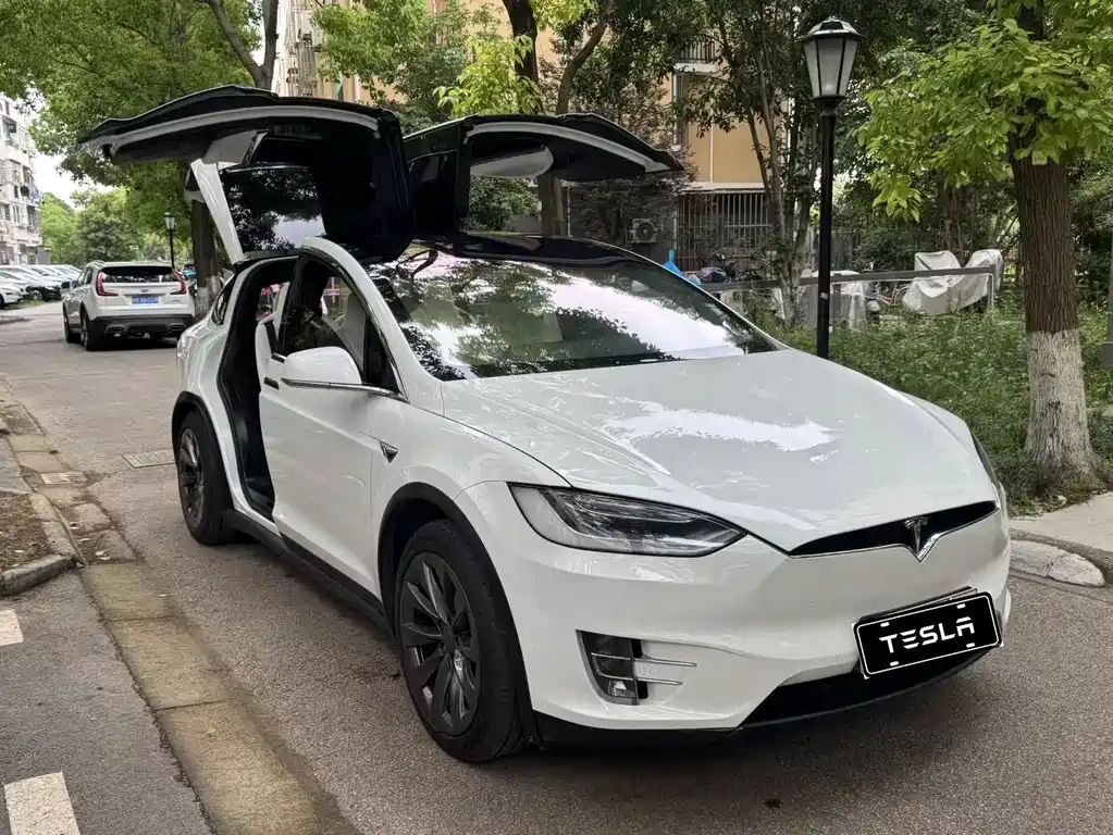 Tesla Model X 2018 — фото 7