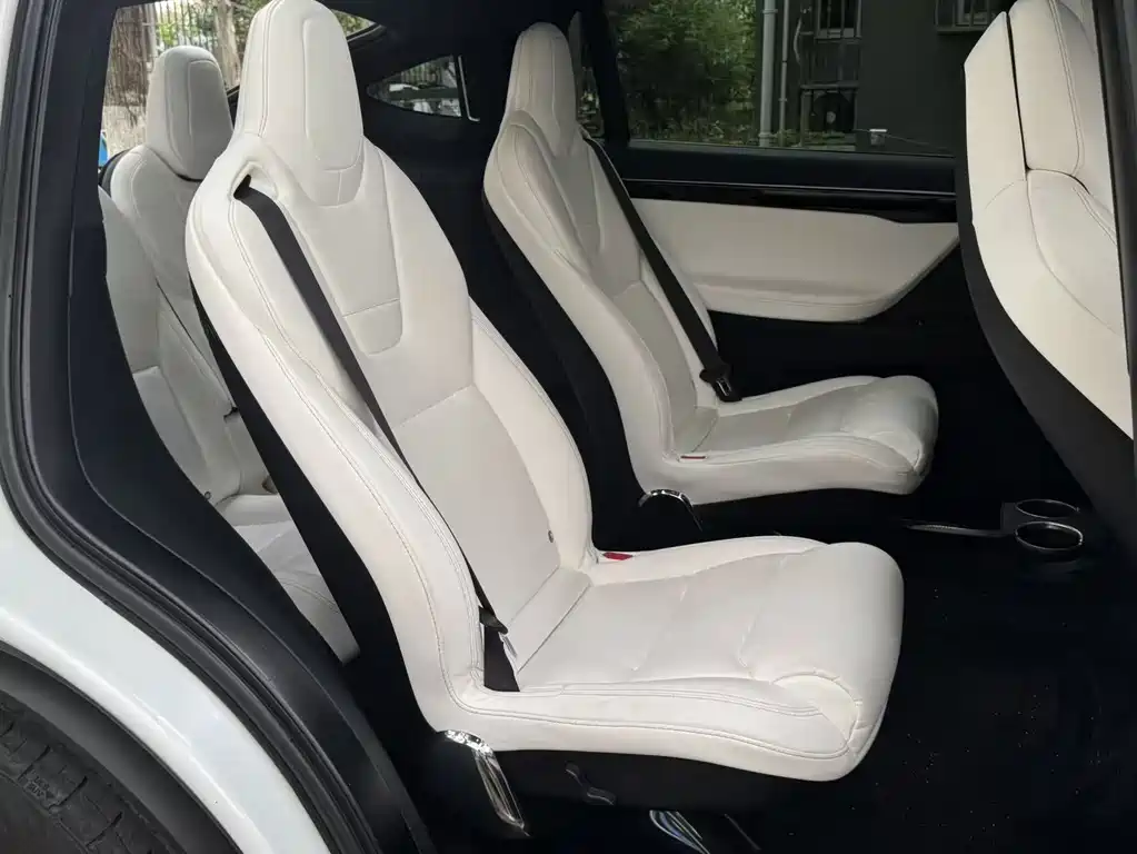 Tesla Model X 2018 — фото 14