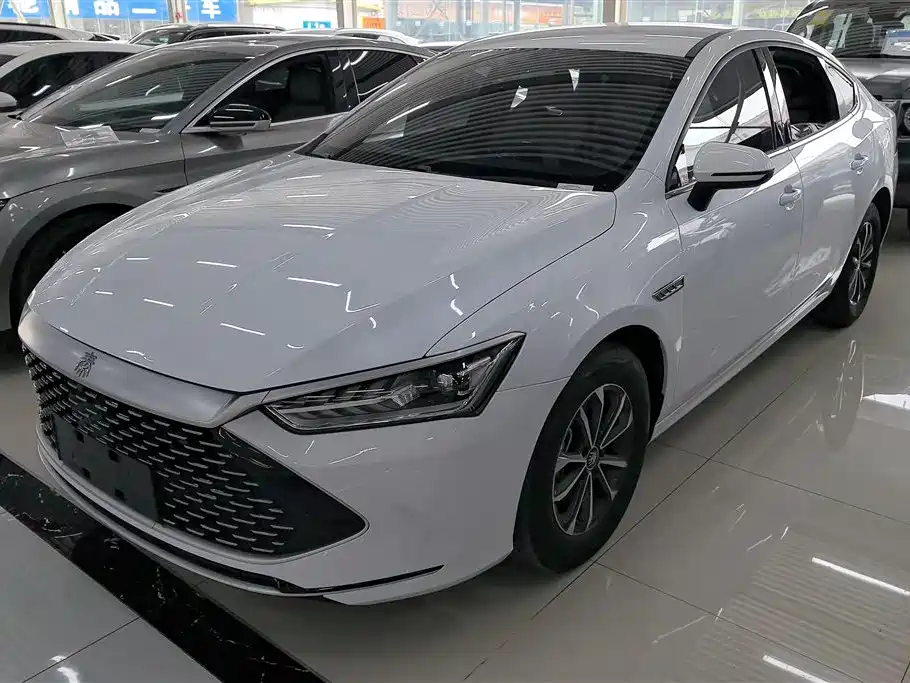 BYD Qin PLUS 2024 — фото 1