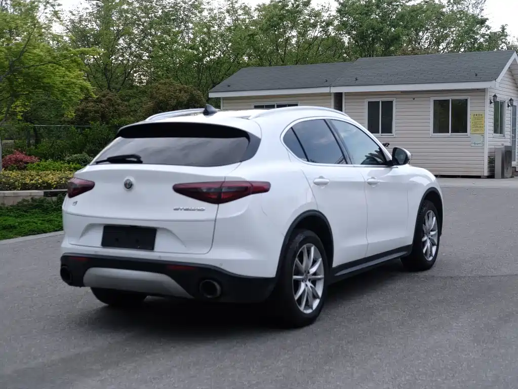 Alfa Romeo Stelvio 2019 — фото 6