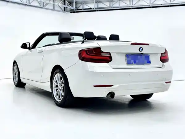 BMW 2 Series 2015