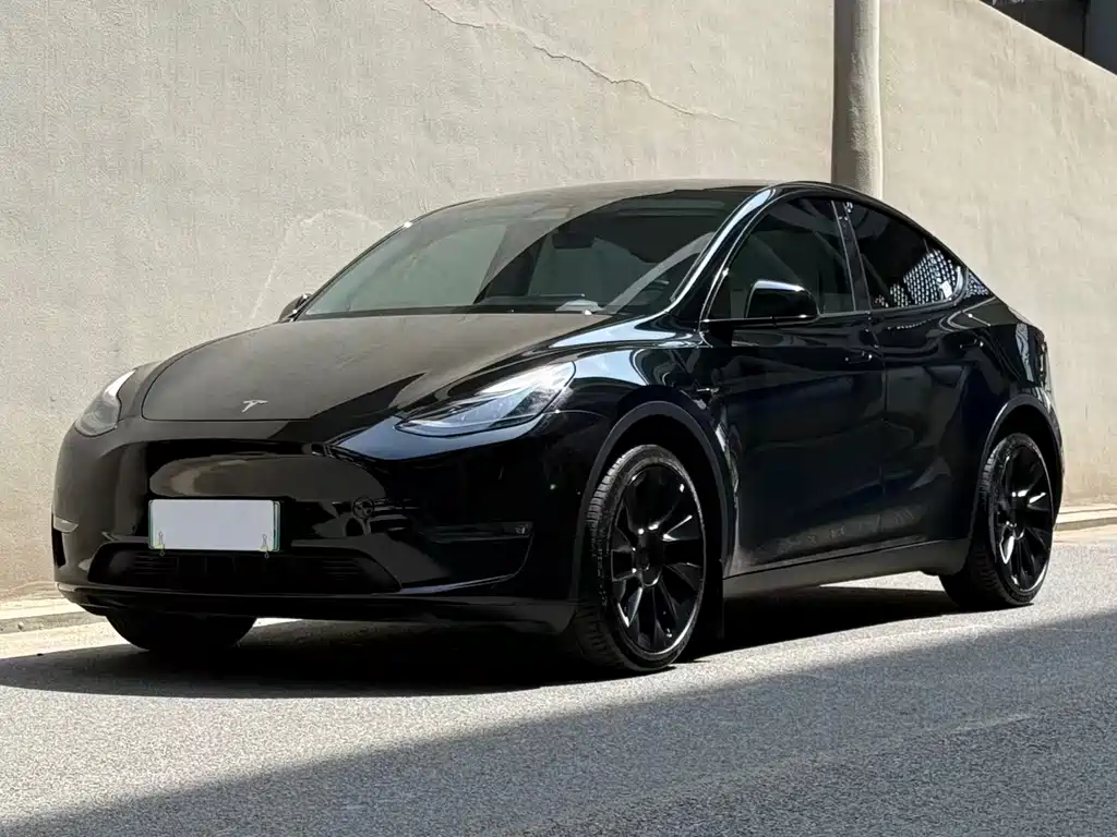 Tesla Model Y 2021 — фото 1
