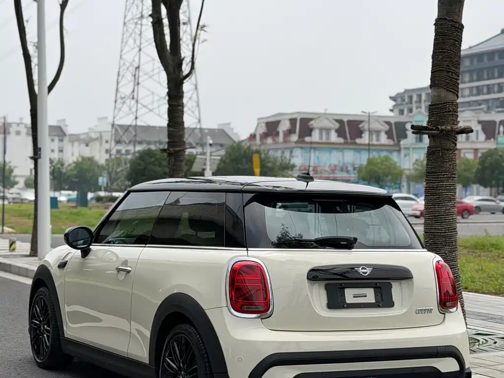 MINI MINI 2021