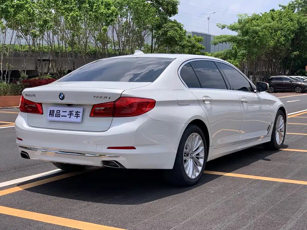 BMW 5 Series 2019