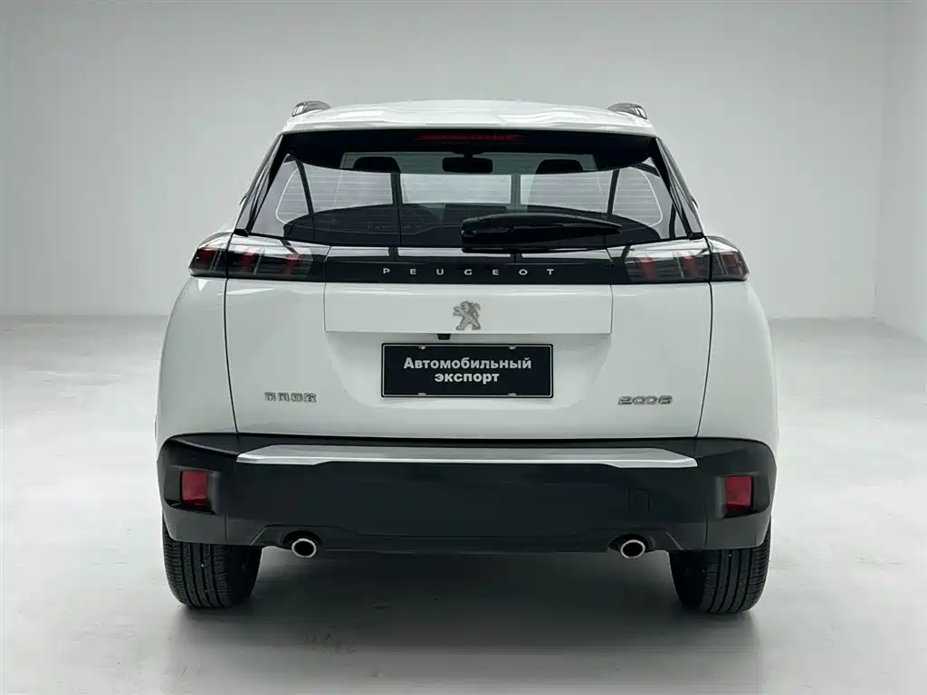 Peugeot 2008 2023 — фото 10