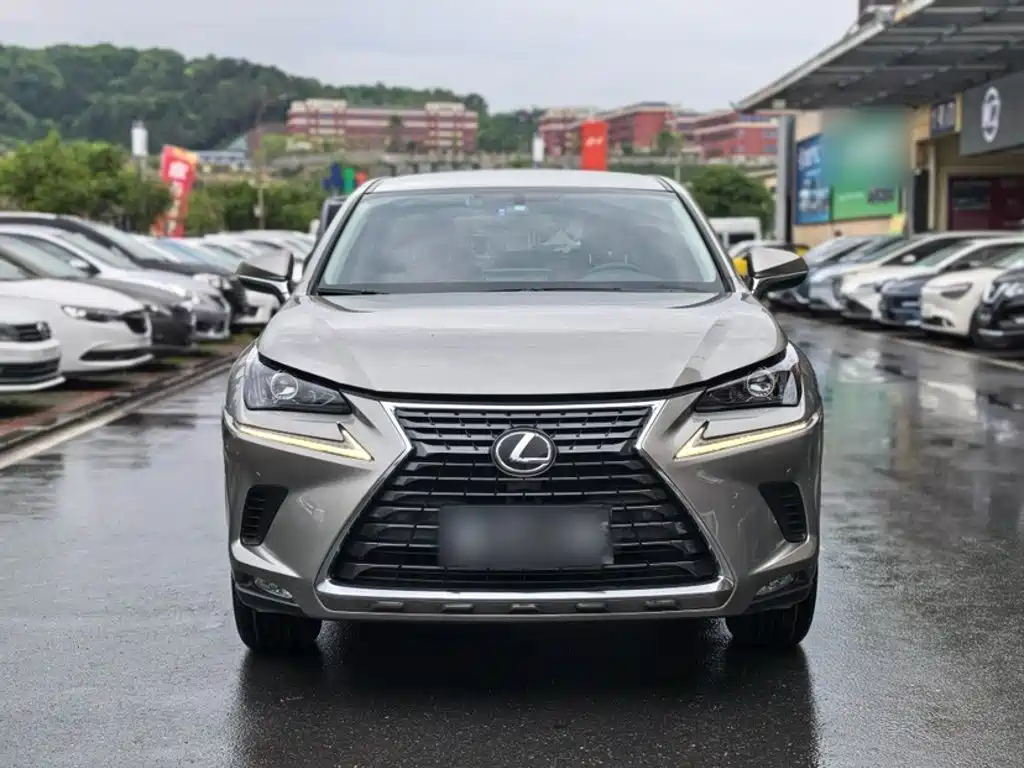 Lexus NX 2020 — фото 11