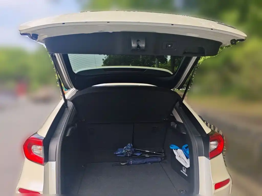 Honda Avancier 2019 — фото 10