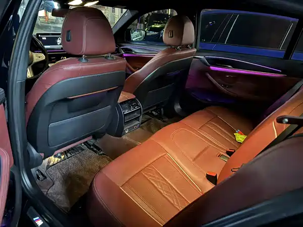 BMW 5 Series New Energy 2022