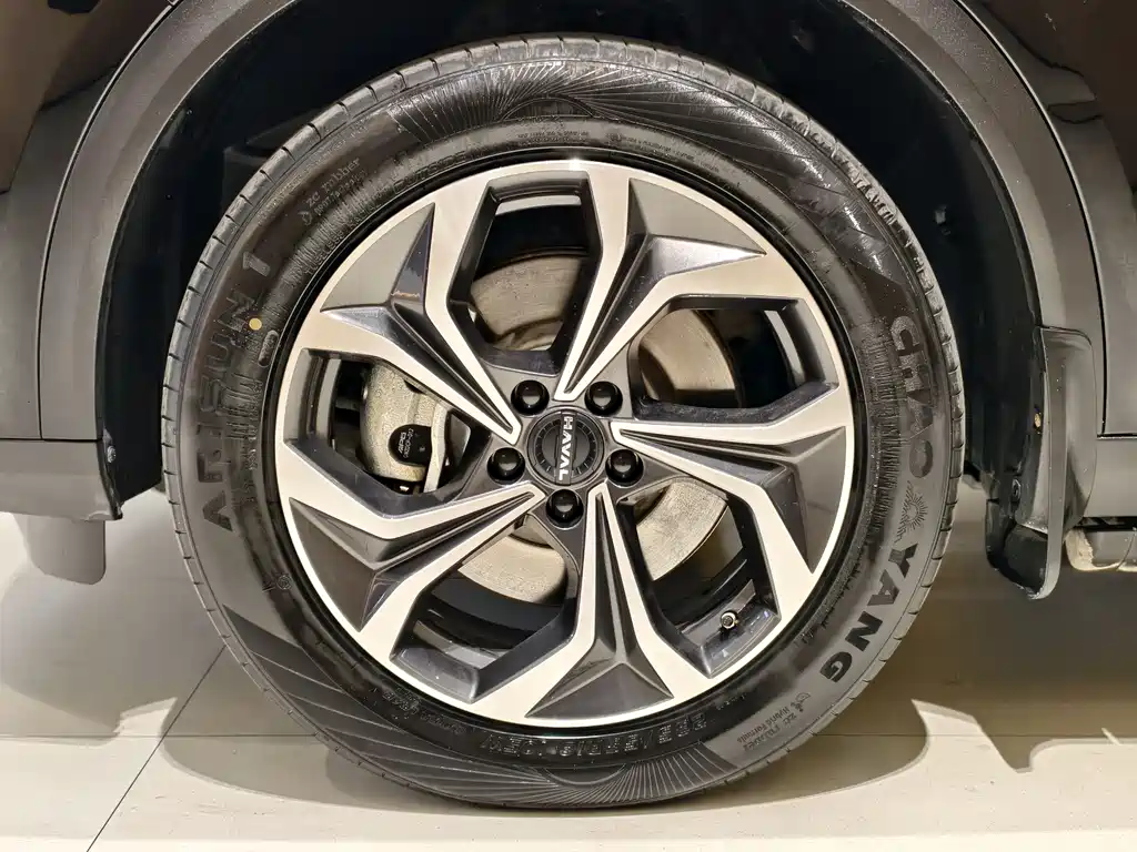 Haval Xiaolong MAX 2023 — фото 28