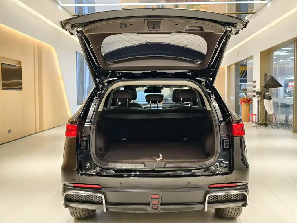 Haval Xiaolong MAX 2023 — фото 27