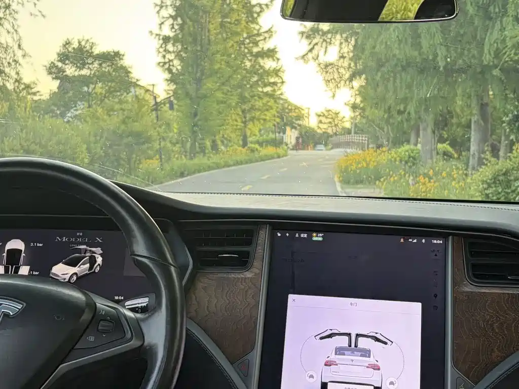 Tesla Model X 2020 — фото 9