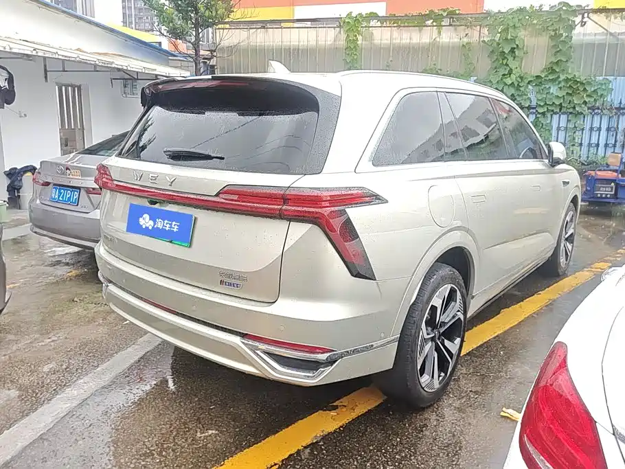 Wey Lanshan 2024