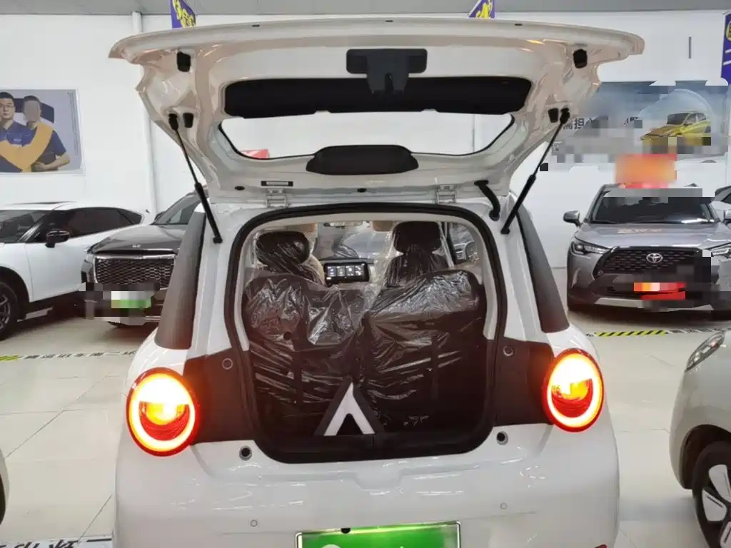 Qiyuan Lumin 2026 — фото 19
