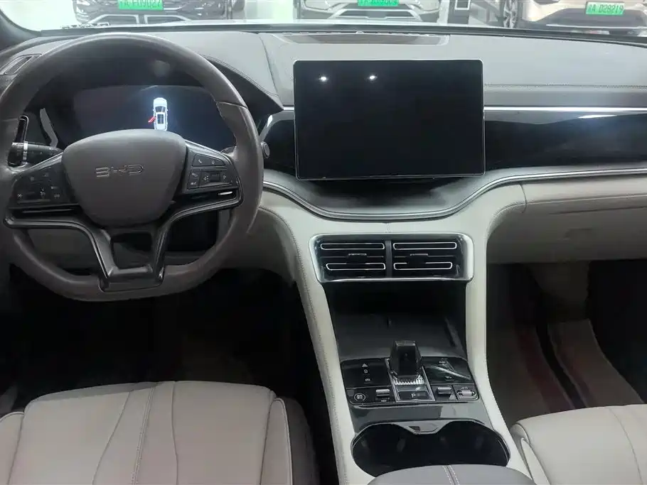 BYD PLUS New Energy 2025 — фото 13