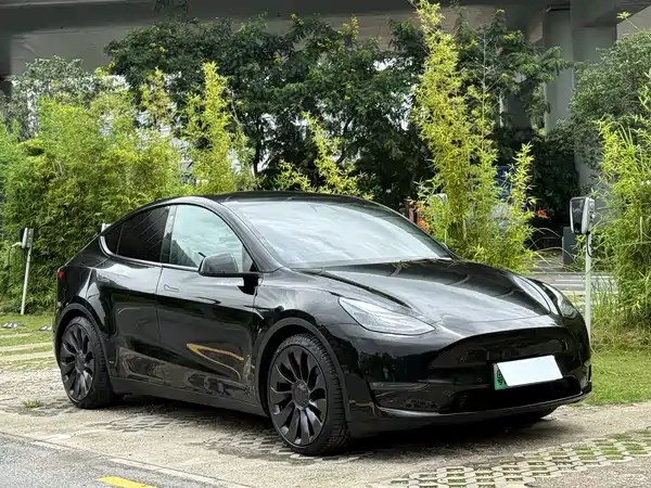 Tesla Model Y 2021