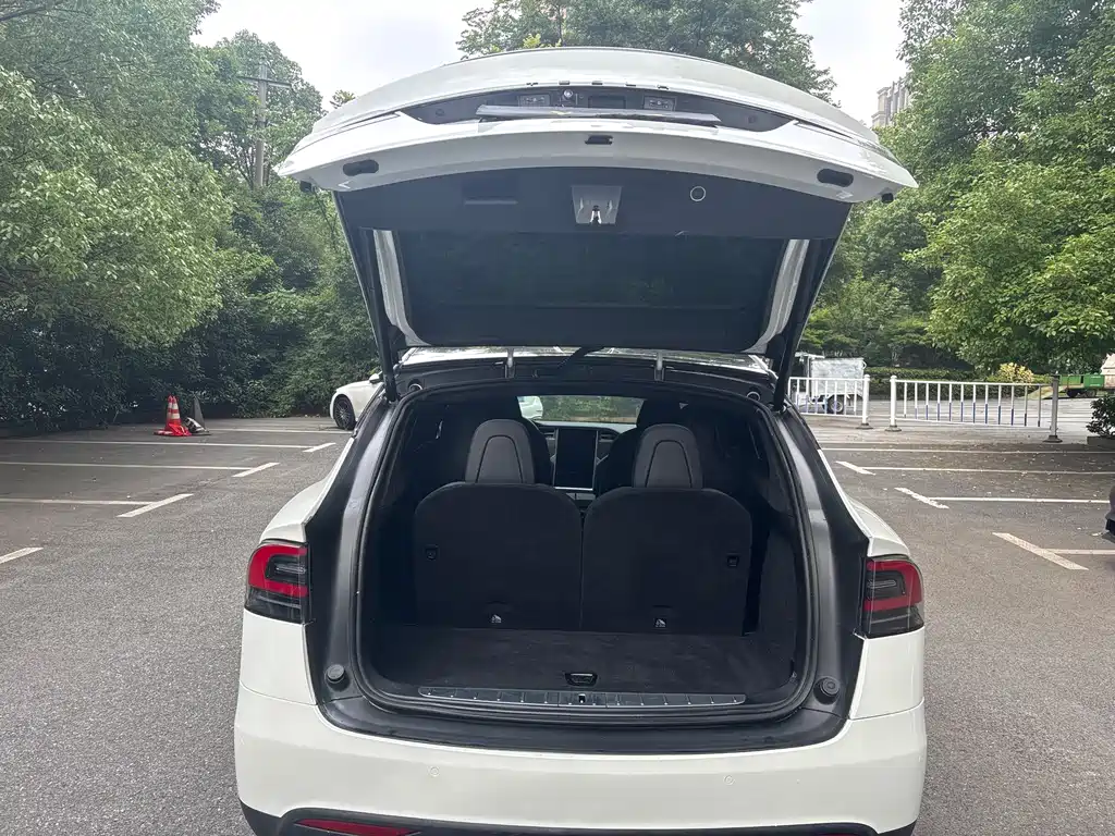 Tesla Model X 2018 — фото 8