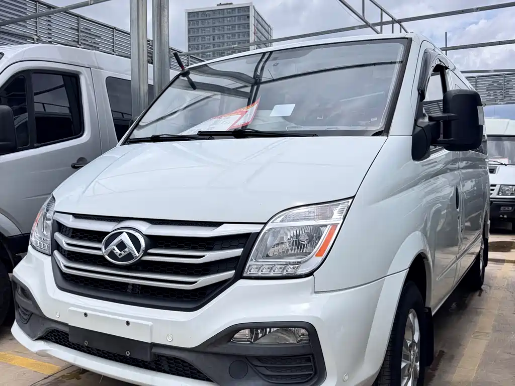 Maxus V80 2020