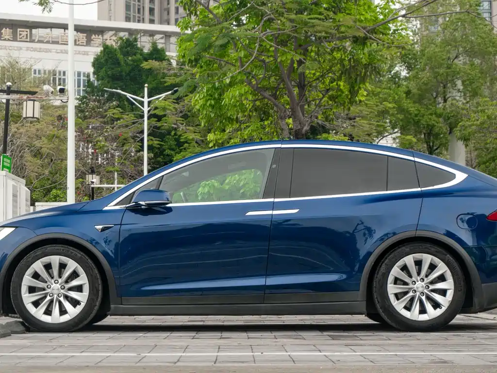 Tesla Model X 2019 — фото 7