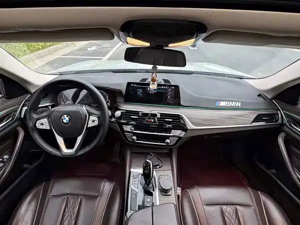 BMW 5 Series New Energy 2020