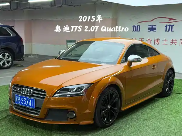 Audi TTS 2013