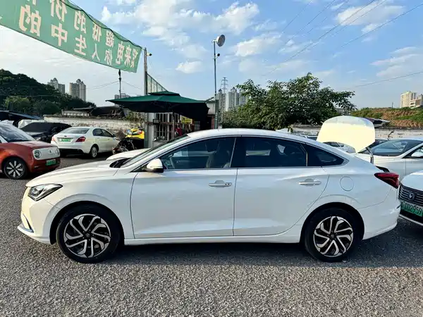 Changan Yidong New Energy 2019