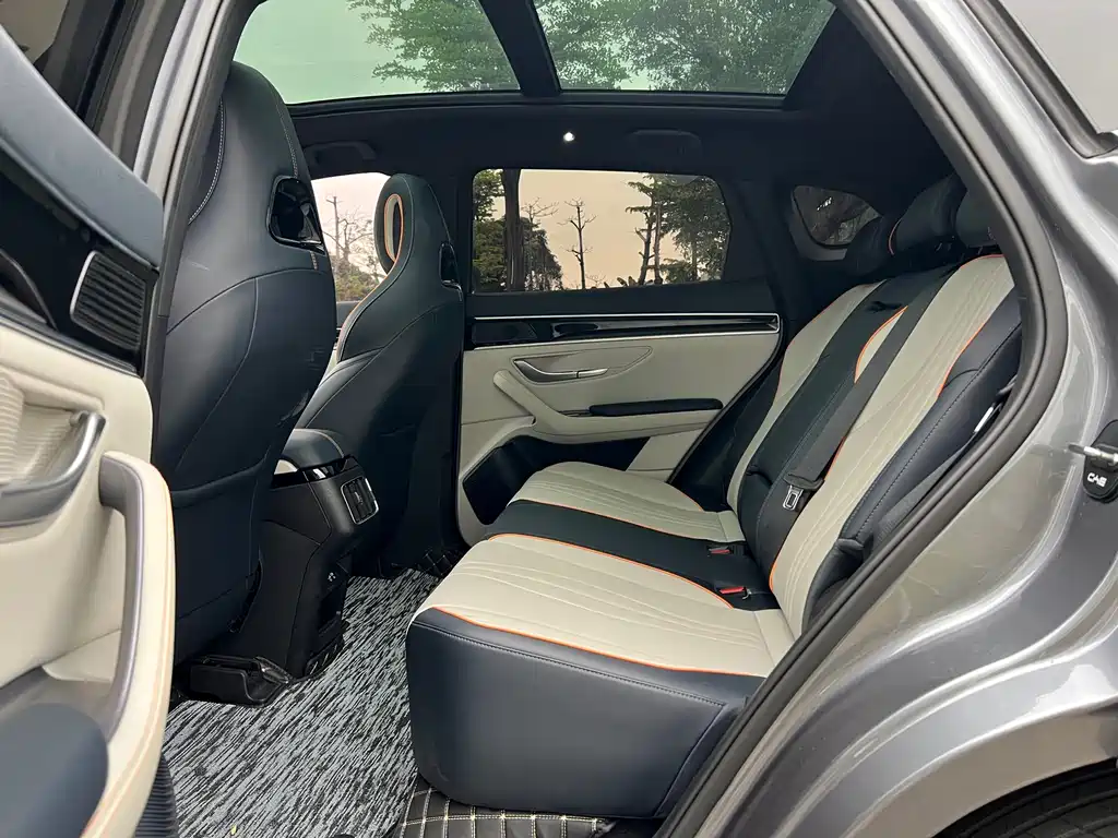 BYD PLUS New Energy 2023 — фото 14
