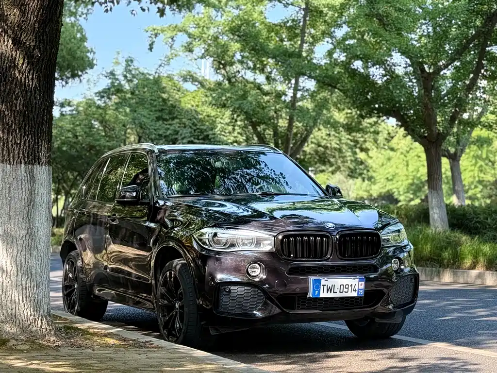 BMW X5 2018 — фото 3